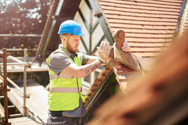 Best Storm Damage Roof Repair  in Norfolk, VA